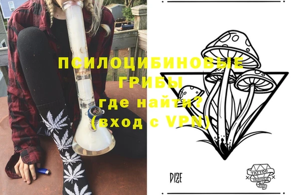 экстази Арсеньев