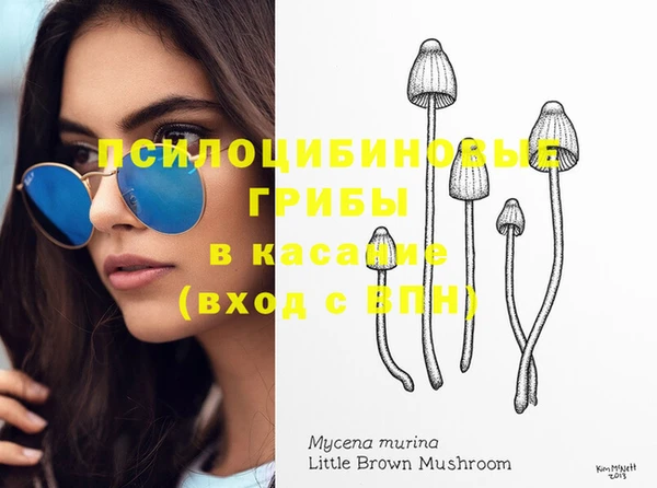 экстази Арсеньев