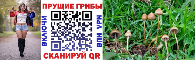 как найти закладки  Ухта  Галлюциногенные грибы Psilocybe 